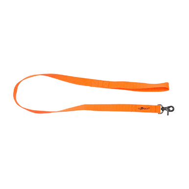Avery Standard Dog Leash – Blaze Orange