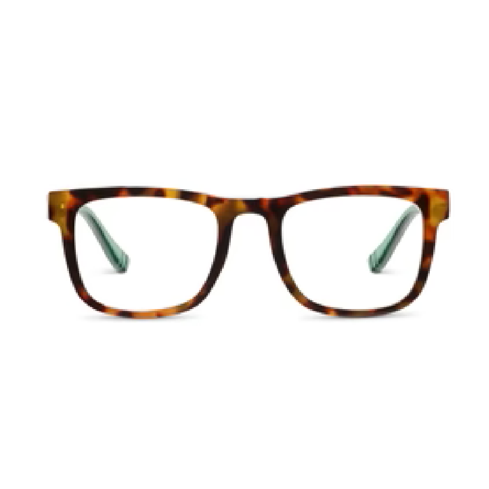 Peepers Hall Blue Light Reading Glasses - Tortoise/Green