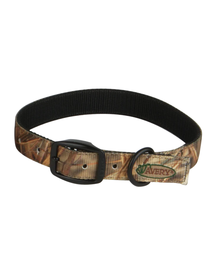 Avery Standard Dog Collar