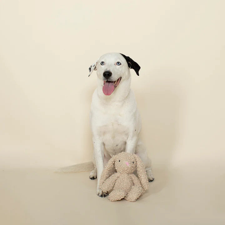 PetShop Honey Bunny Dog Toy