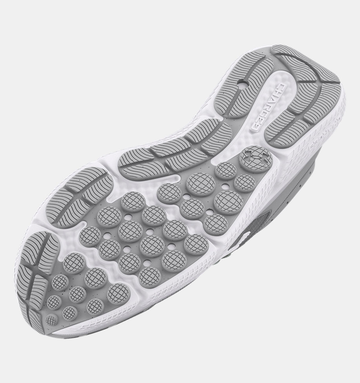 Under Armour Men's Charged Assert 10 Running Shoes