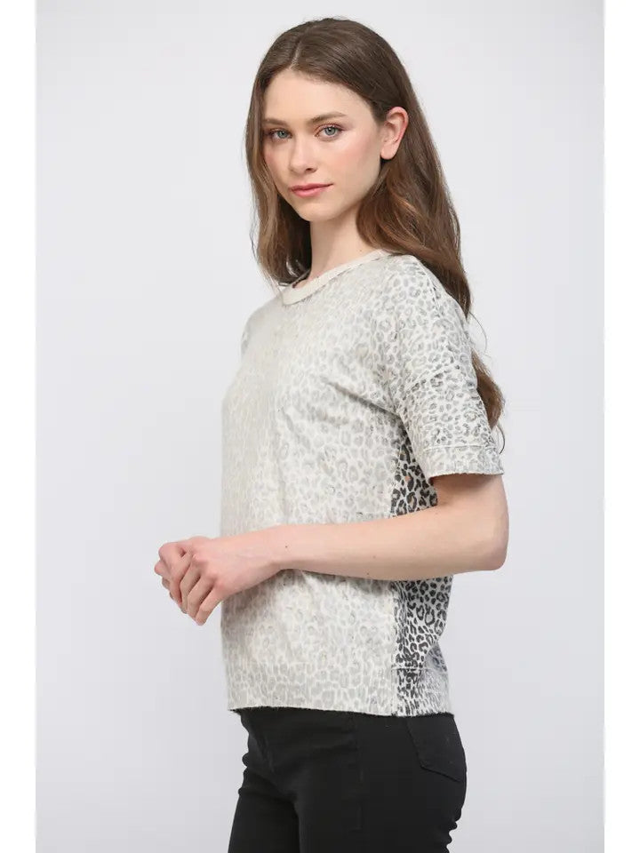 Fate Women's Short Sleeve Sweater