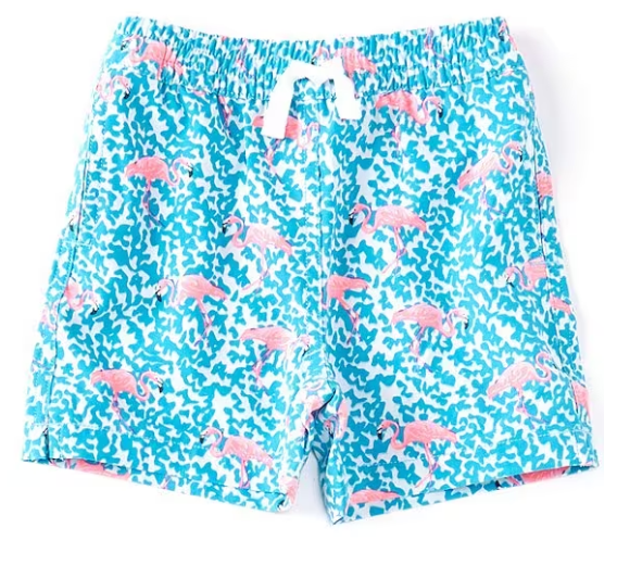 Chubbies The Mini Mingos - Bright Blue