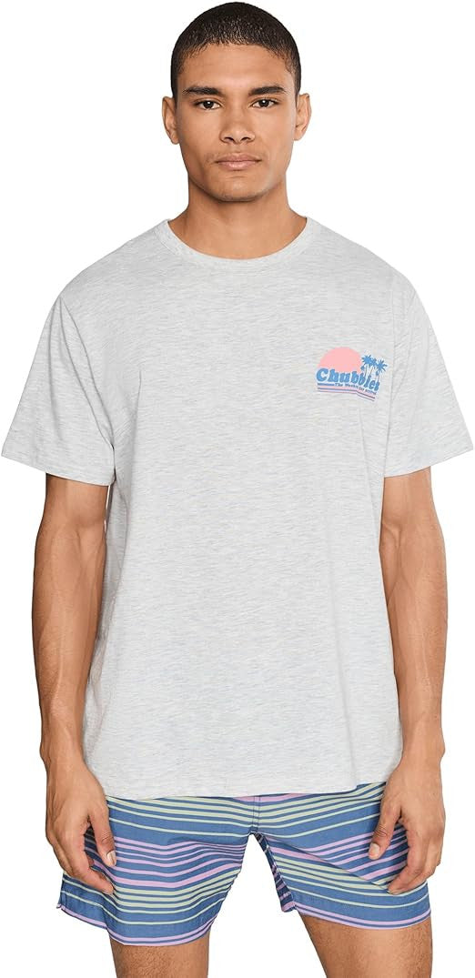 Chubbies Men's The Ol' College Try Tee - Grey