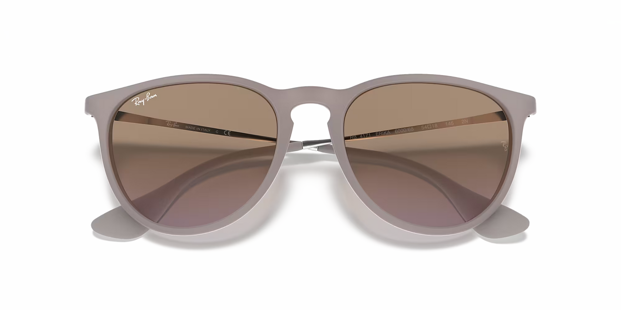 Ray-Ban Erika Classic Dark Sand