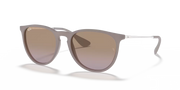 Ray-Ban Erika Classic Dark Sand