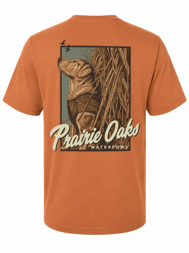 Prairie Oaks Waterfowl Men's Yellow Lab In Blind Tee
