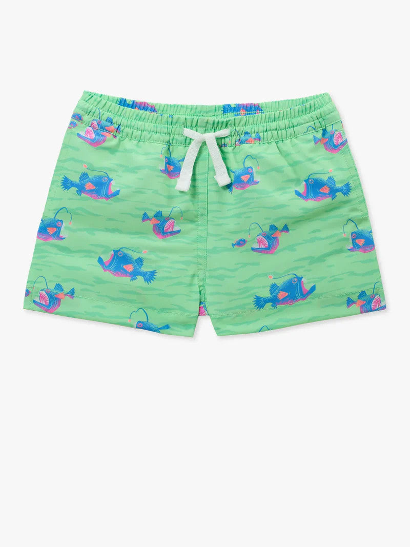 Chubbies Toddler Classic Swim Trunk - The Light The Ways