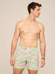 Chubbies Men's Lined Classic Trunk - The Easy Breezys 5.5"