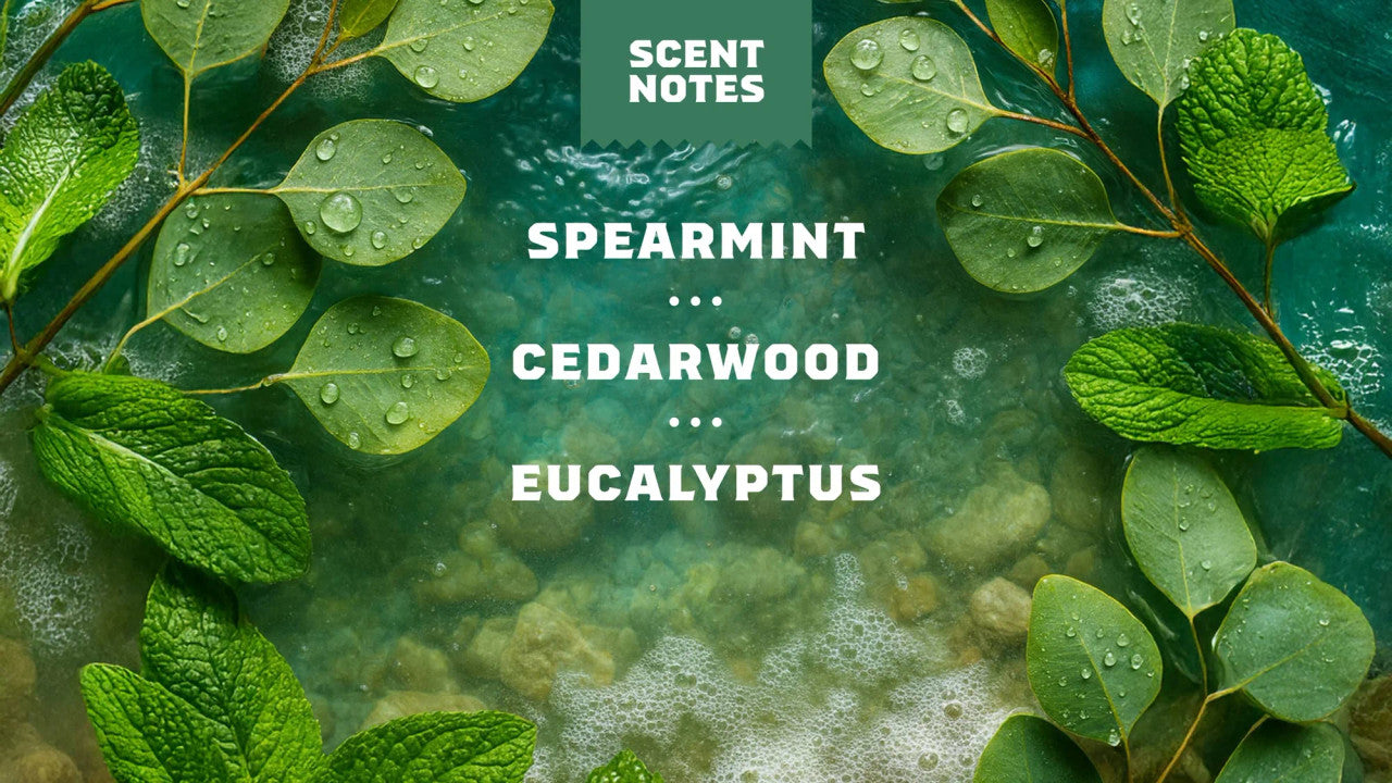 Dr. Squatch Spray Deodorant Rainforest Rapids