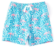 Chubbies The Mini Mingos - Bright Blue
