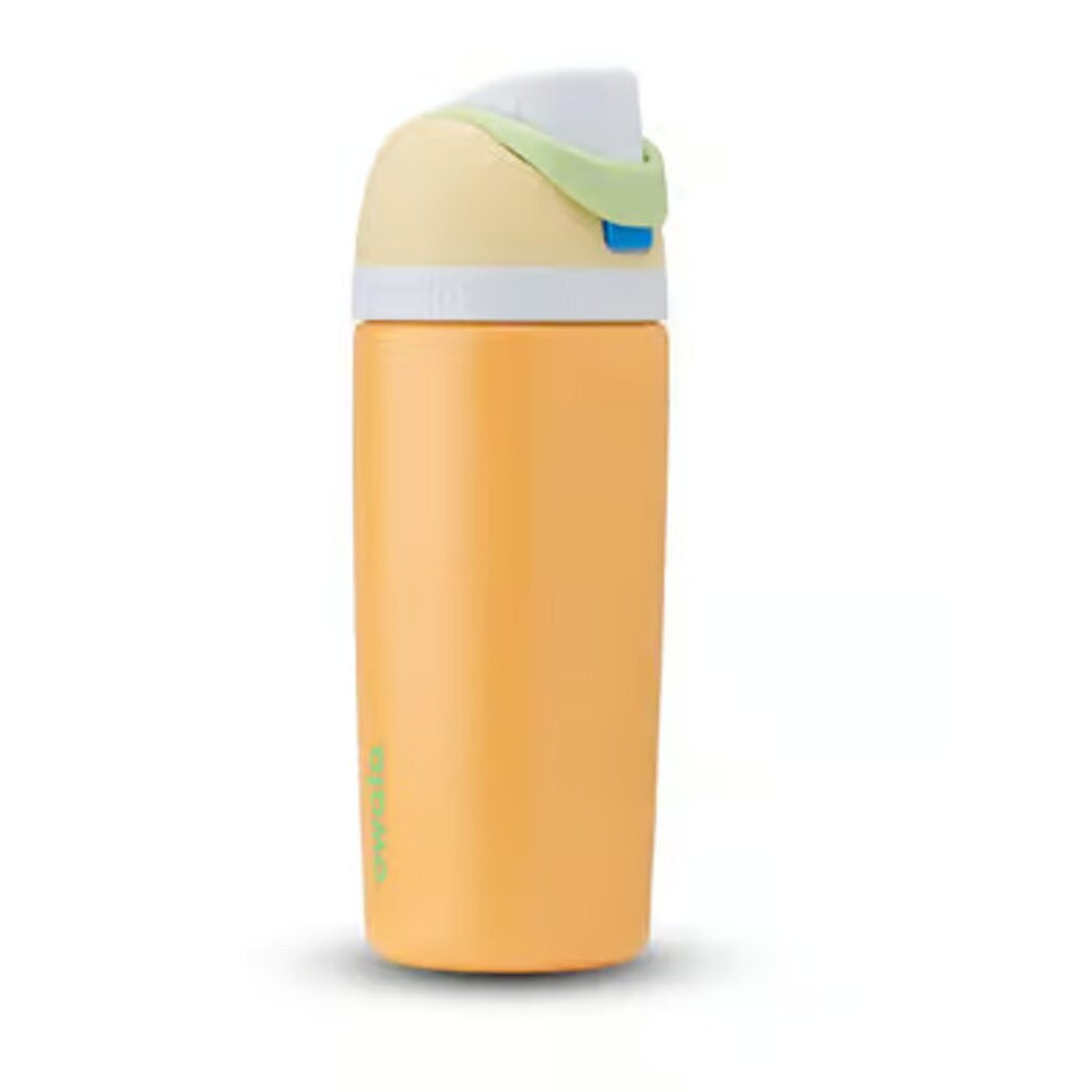 Owala FreeSip Kids 16oz Treasure Hunt Water Bottle with Spout Lid