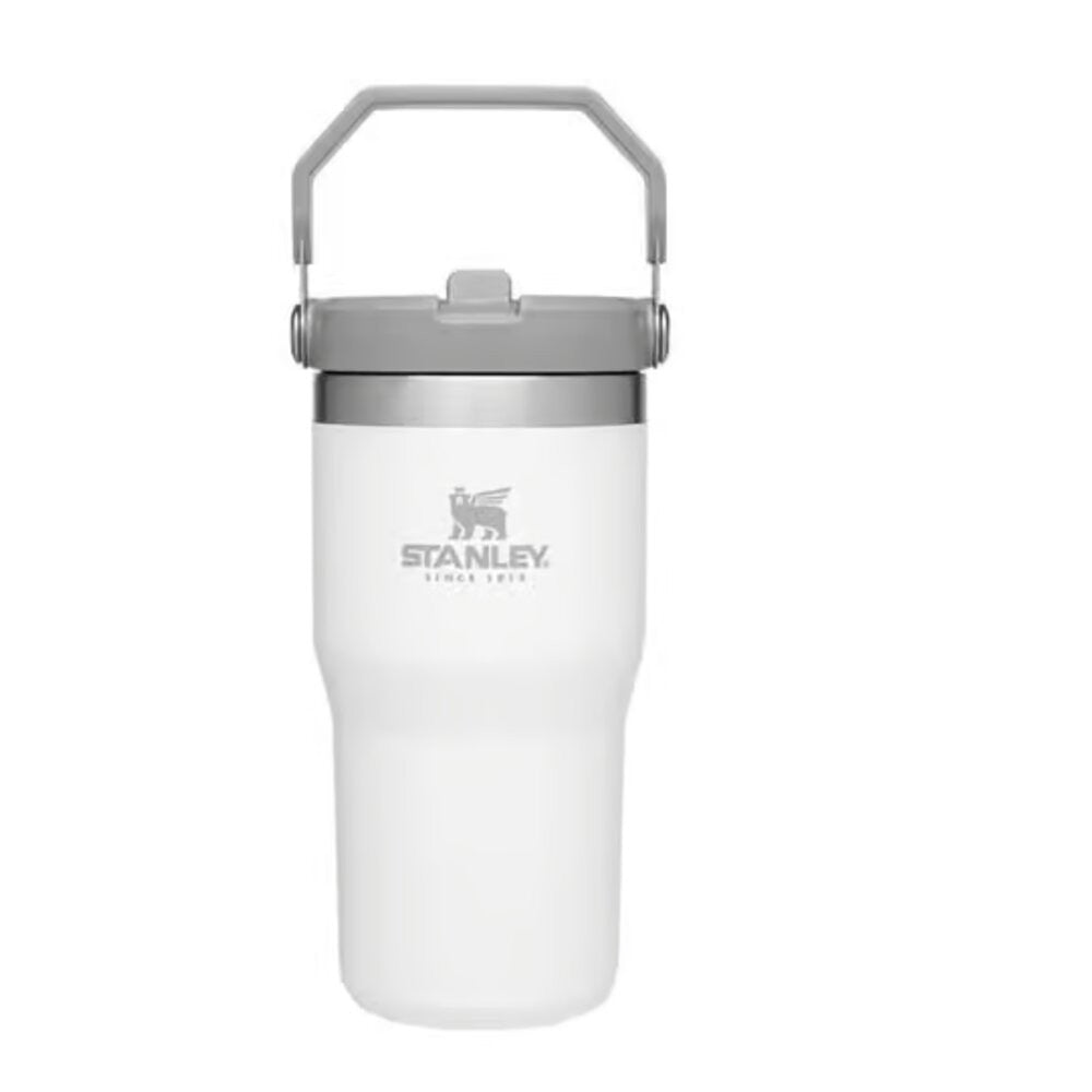 Stanley IceFlow 20oz Insulated Straw Tumbler - Polar