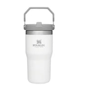 Stanley IceFlow 20oz Insulated Straw Tumbler - Polar