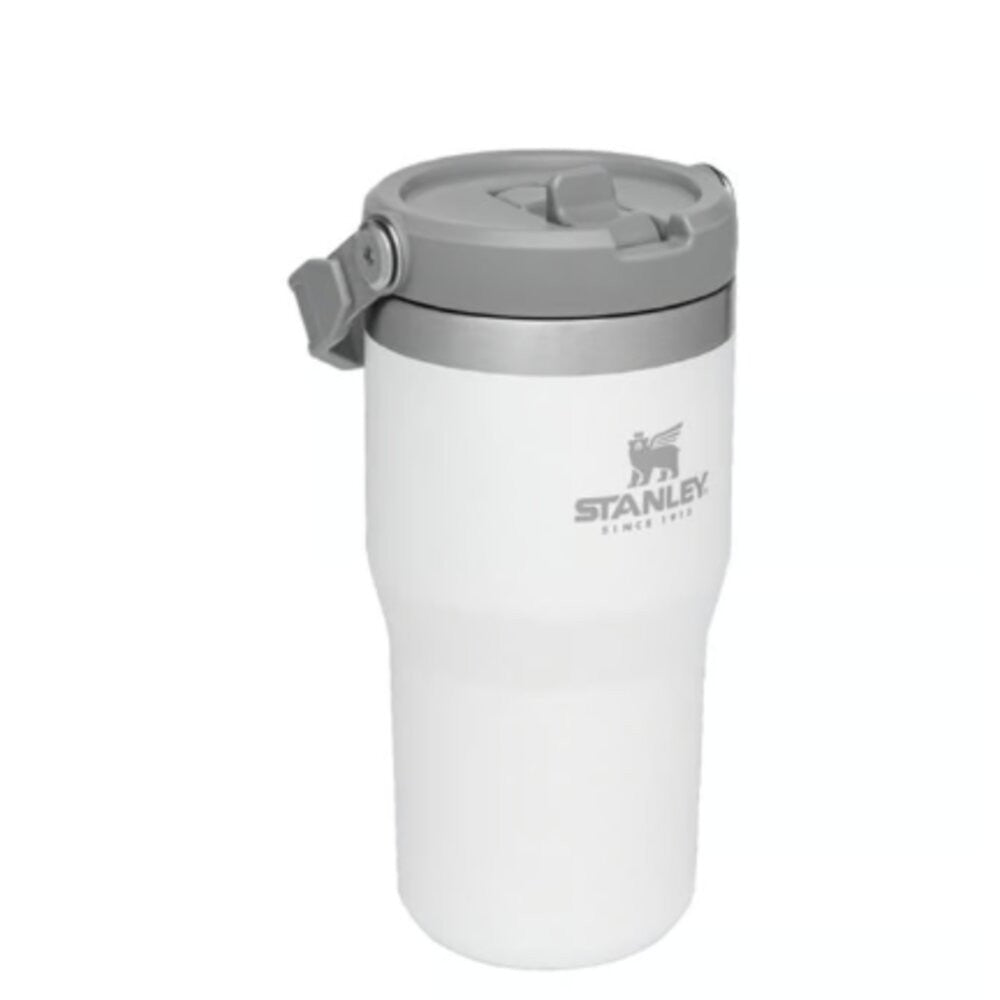 Stanley IceFlow 20oz Insulated Straw Tumbler - Polar