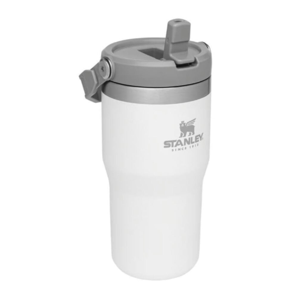 Stanley IceFlow 20oz Insulated Straw Tumbler - Polar