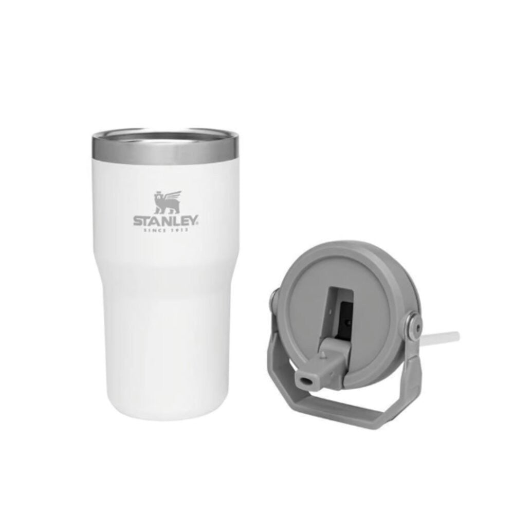 Stanley IceFlow 20oz Insulated Straw Tumbler - Polar
