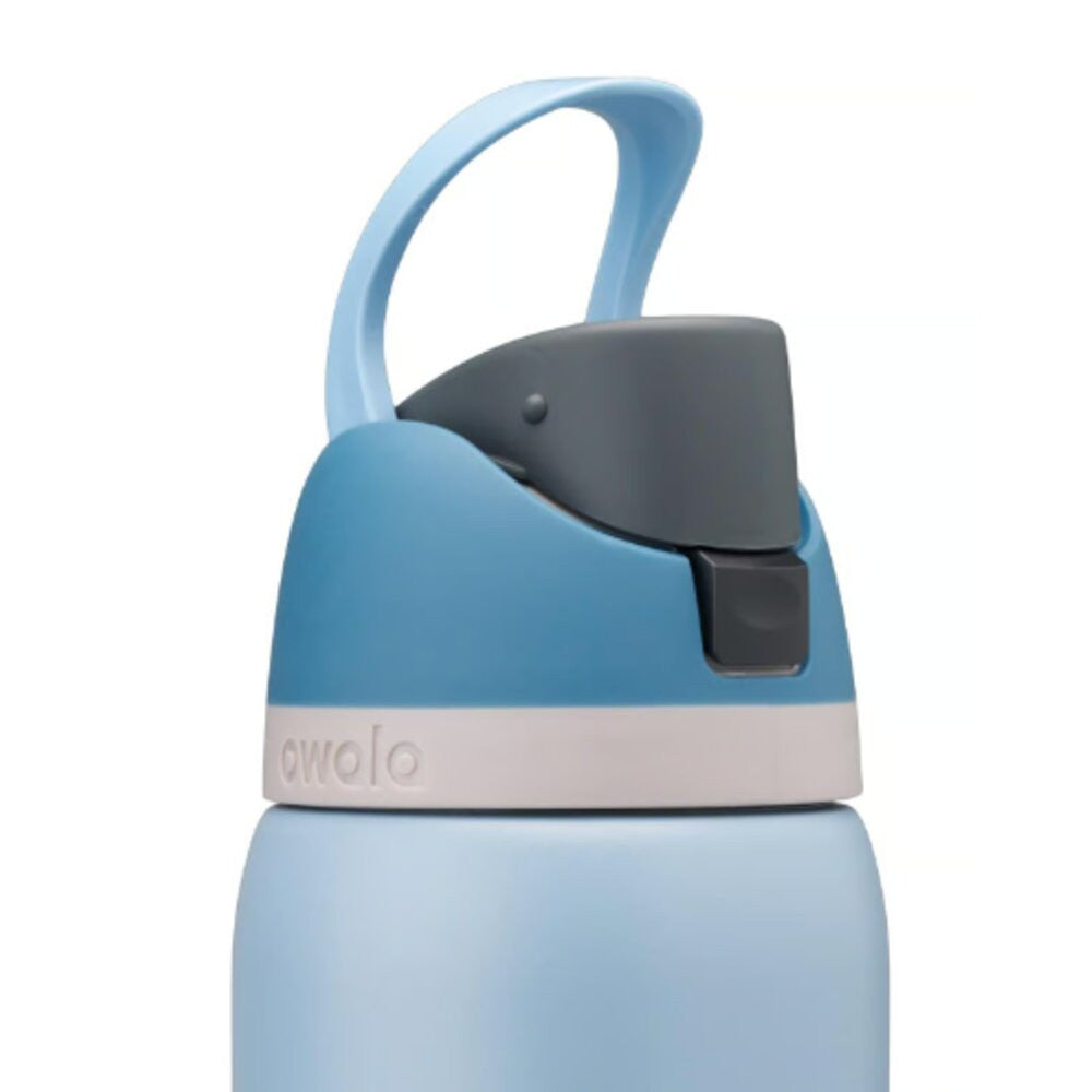 Owala Freesip 32oz Rainstorm Water Bottle with Spout Lid