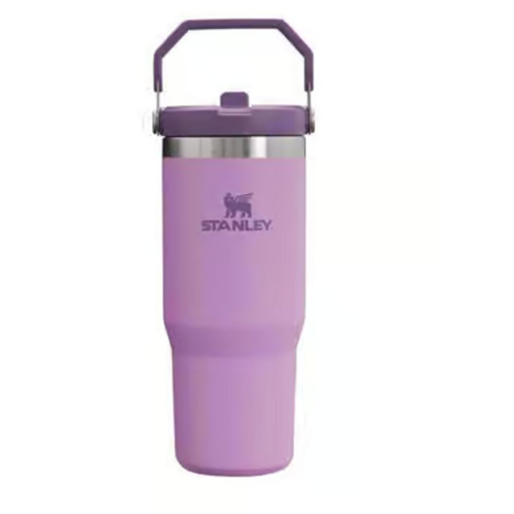 Stanley IceFlow 30oz Lilac Insulated Straw Tumbler