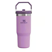 Stanley IceFlow 30oz Lilac Insulated Straw Tumbler