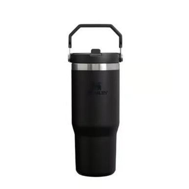 Stanley IceFlow 30 oz Black Insulated Straw Tumbler