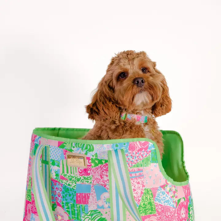 Lilly Pulitzer Dog Collar - Crazy Quilt Home - Small/Medium
