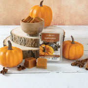 Candle Warmers Etc. 2.5 oz Wax Melt Pumpkin Spice
