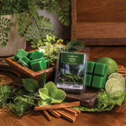 Candle Warmers Etc. Mystic Falls Classic 2.5oz Wax Melt