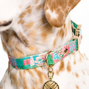 Lilly Pulitzer Dog Collar - Crazy Quilt Home - M/L