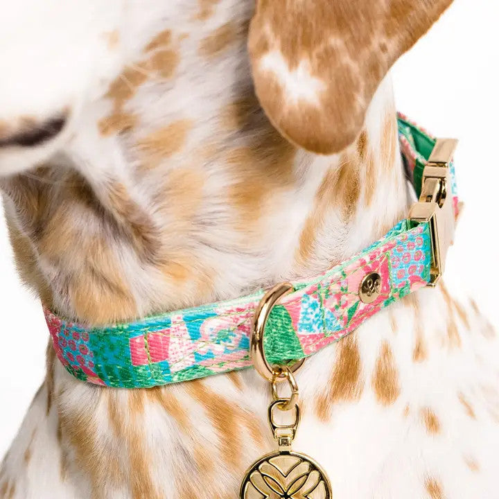 Lilly Pulitzer Dog Collar - Crazy Quilt Home - M/L