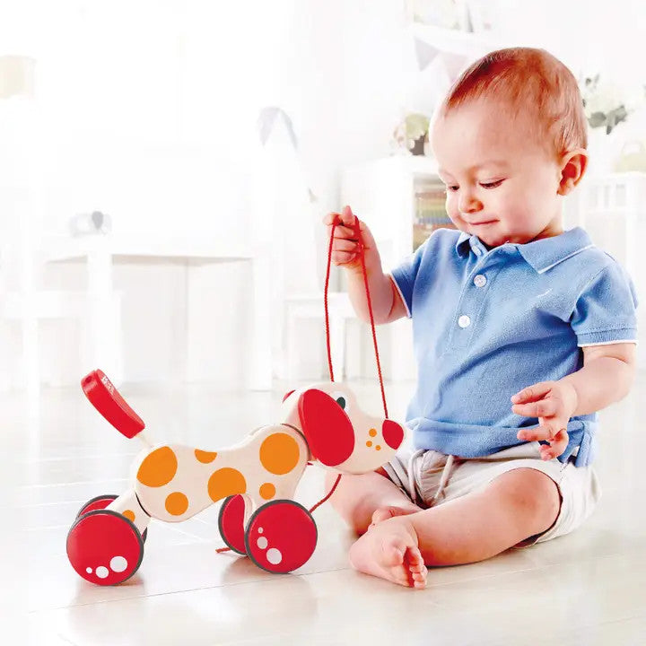 Hape Toys Pepe Pull Along