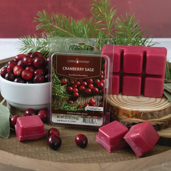 Candle Warmers Etc 2.5 oz Wax Melt Cranberry Sage