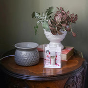 Greenleaf Brambleberry Home Fragrance Oil