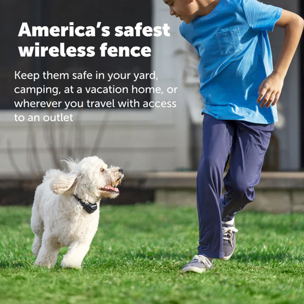 PetSafe Wireless Pet Fence System 800 ft Range